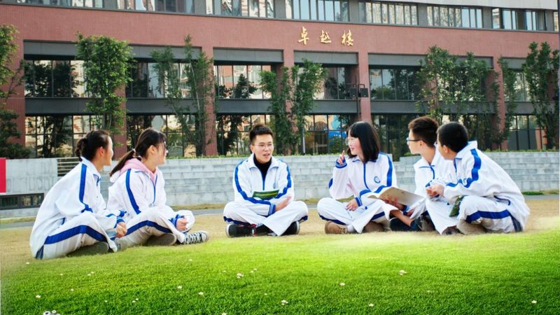 国产二极管批发价格，如何看懂性价比？**